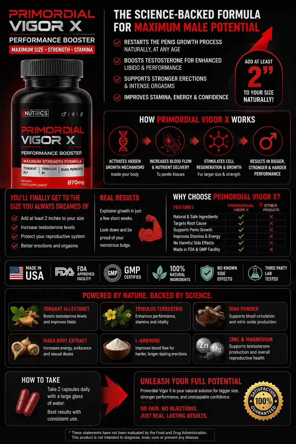 Adult men who may consider Primordial Vigor X as part of a daily routine
