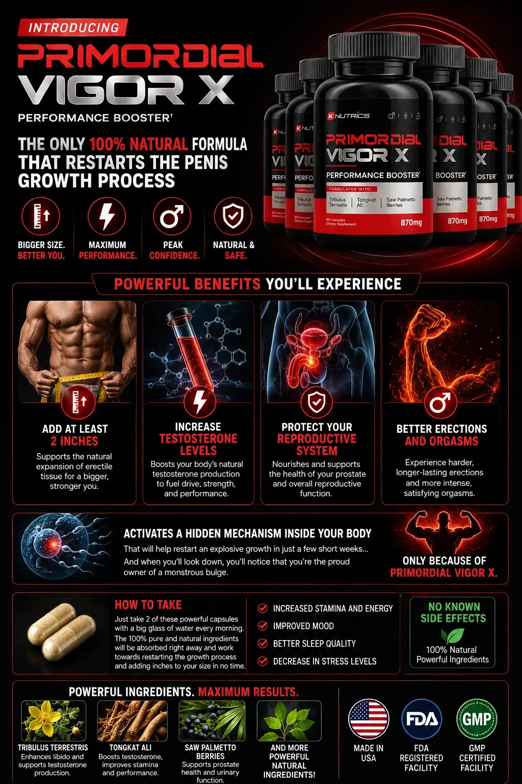 Primordial Vigor X capsules and formula presentation