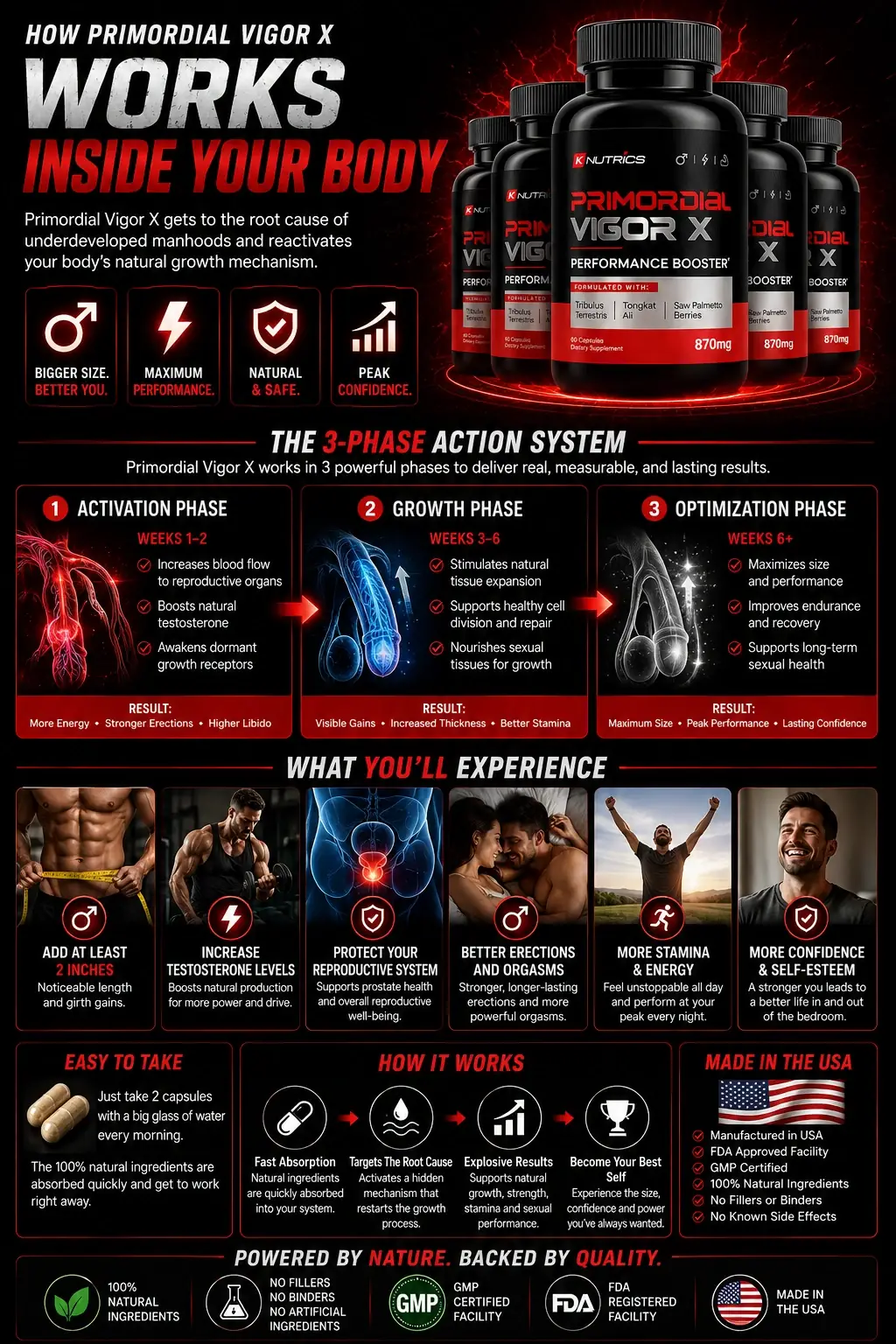 How Primordial Vigor X fits into a daily routine